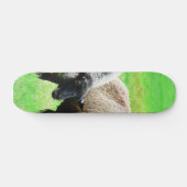 Schwarzköpfige Schafe Skateboard (Horizontal)