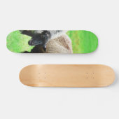 Schwarzköpfige Schafe Skateboard (Horizontal)