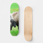 Schwarzköpfige Schafe Skateboard (Vorderseite)