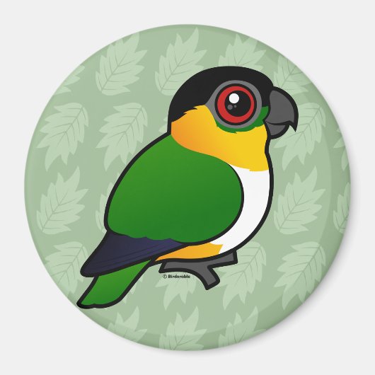 Schwarzkopfpapagei Magnet (Vorne)