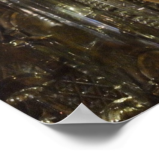 Schwarzkopfposter Poster (Ecke)