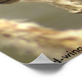 Schwarzkopfposter Poster (Ecke)