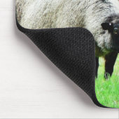 Schwarzkopfschaaf Mousepad (Ecke)