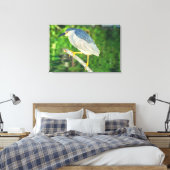 Schwarzkronenheron Leinwanddruck (Insitu (Schlafzimmer))