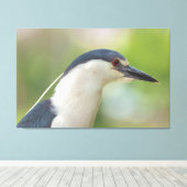 Schwarzkronenheron Leinwanddruck (Insitu (Holzboden))