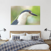 Schwarzkronenheron Leinwanddruck (Insitu (Schlafzimmer))