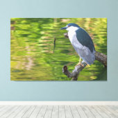 Schwarzkronenheron Leinwanddruck (Insitu (Holzboden))