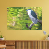 Schwarzkronenheron Leinwanddruck (Insitu (Wohnzimmer))
