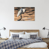 Schwarzkronenheron Leinwanddruck (Insitu (Schlafzimmer))