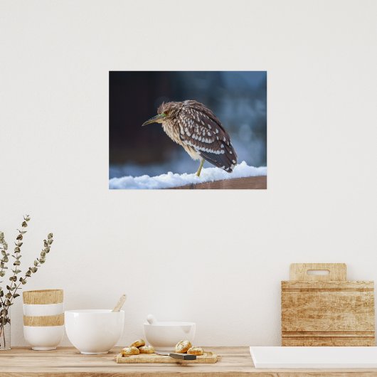 Schwarzkronenheron Poster (Küche)