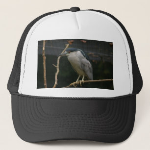 Schwarzkronenheron Truckerkappe