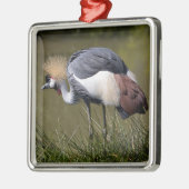 Schwarzkronenkrane Ornament Aus Metall (Links)