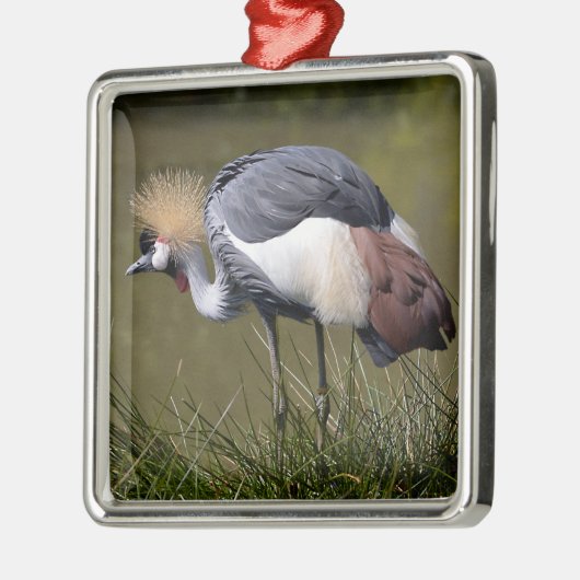 Schwarzkronenkrane Ornament Aus Metall (Links)