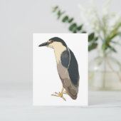 Schwarzkronenvogel Postkarte (Stehend Vorderseite)