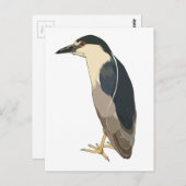 Schwarzkronenvogel Postkarte (Vorne/Hinten)