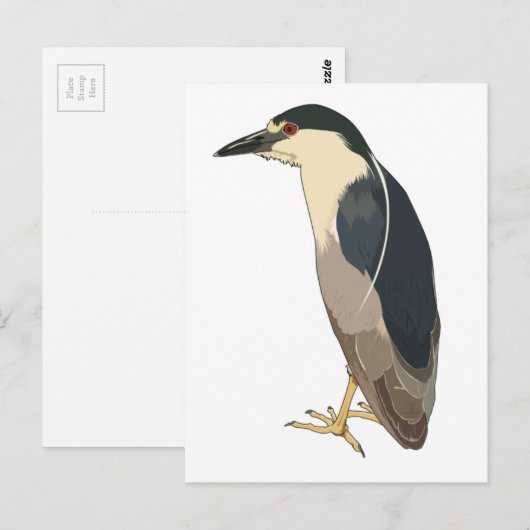 Schwarzkronenvogel Postkarte (Vorne/Hinten)