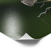 Schwarzkrönter Nachtheron Fotodruck (Ecke)