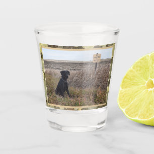 Schwarzleber Jagdhund mit Camouflage Trim Schnapsglas