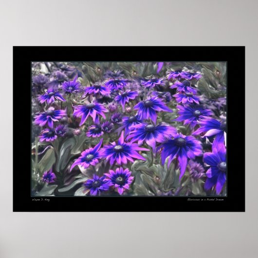 Schwarzlichtmoment im Gloriosa-Poster Poster (Vorne)