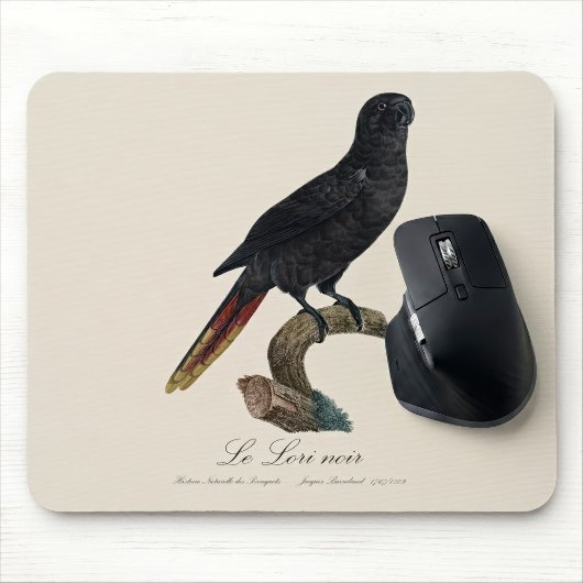 Schwarzlori oder Schwarz-Lori, Chalcopsitta atra Mousepad