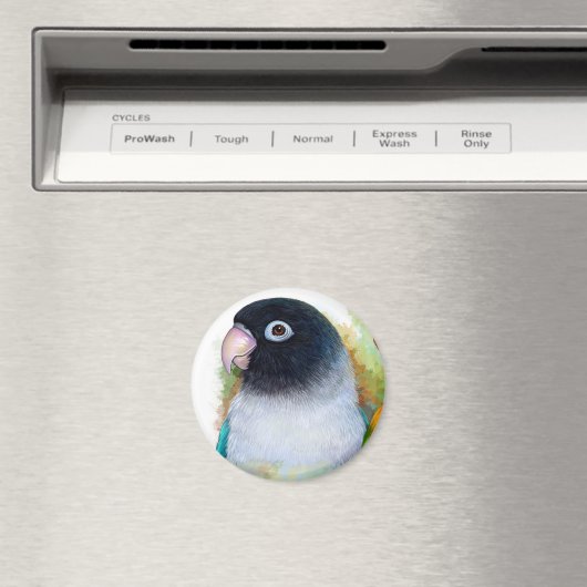 Schwarzmaskenvogel Magnet (In Situ (Geschirrspüler))