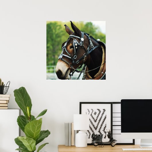 Schwarzmaultier Poster (Heimbüro)