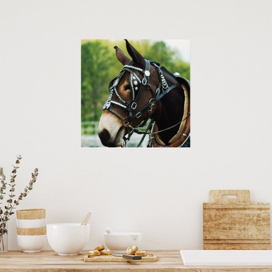 Schwarzmaultier Poster (Küche)