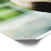 Schwarzmaultier Poster (Ecke)