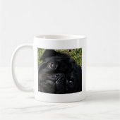 SchwarzMops Augen Kaffeetasse (Links)
