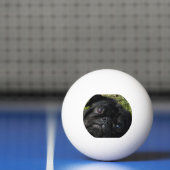 SchwarzMops Augen Tischtennisball (Netto)