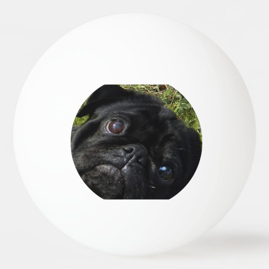 SchwarzMops Augen Tischtennisball (Vorderseite)