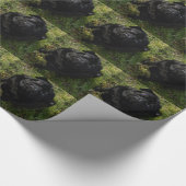 SchwarzMops full.png Geschenkpapier (Ecke)