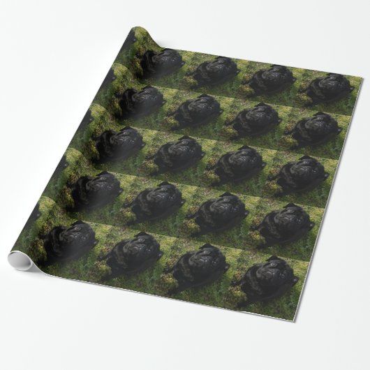 SchwarzMops full.png Geschenkpapier (Ungerollt)
