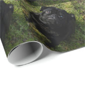 SchwarzMops full.png Geschenkpapier (Rolleneckpunkt)