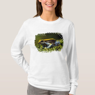 Schwarzohr-Mantella, Mantella expectata, T-Shirt