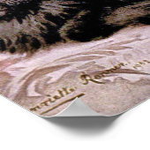 Schwarzpersische Katze Poster (Ecke)