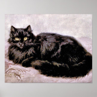 Schwarzpersische Katze Poster