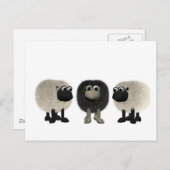 Schwarzschaf Postkarte (Vorne/Hinten)
