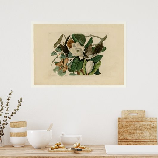 Schwarzschnabelkuckuck Poster (Küche)