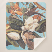 Schwarzschnabelkuckuck Sherpadecke (Vorderseite)