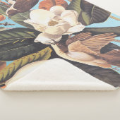 Schwarzschnabelkuckuck Sherpadecke (3/4)