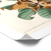 Schwarzschnabelkuckuck von Audubon Poster (Ecke)
