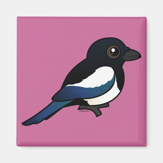 Schwarzschnabelmagpie Magnet (Vorne)