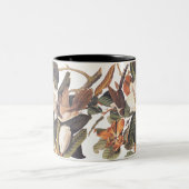 Schwarzschnabelvögel Zweifarbige Tasse (Mittel)