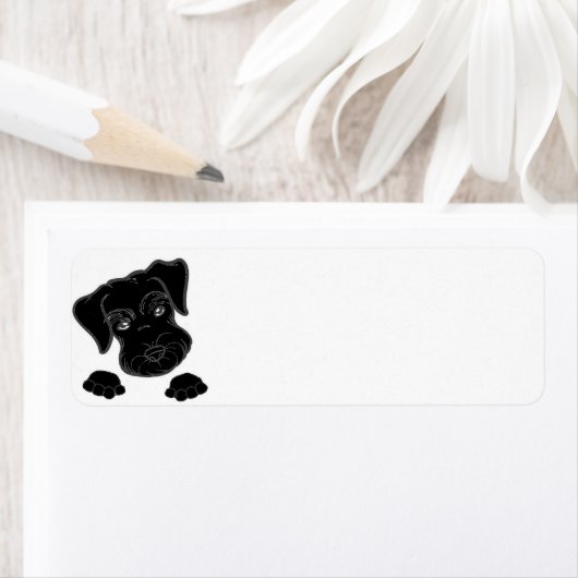 Schwarzschnauzer (Insitu)