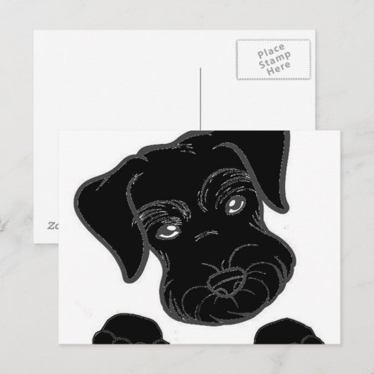 Schwarzschnauzer Postkarte (Vorne/Hinten)