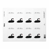 Schwarzschwan (Vorne)