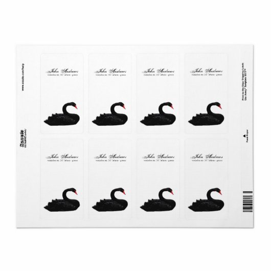 Schwarzschwan (Vorne)