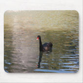 Schwarzschwan Mousepad (Vorne)