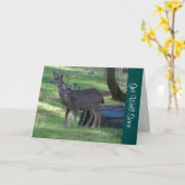 Schwarzschwanz-Hirsch wird bald gut bekommt Note C Karte (Gelbe Blume)